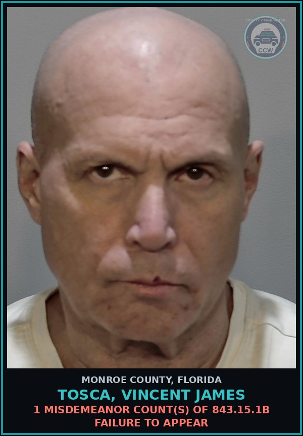 Booking mugshot of TOSCA, VINCENT JAMES in Monroe County