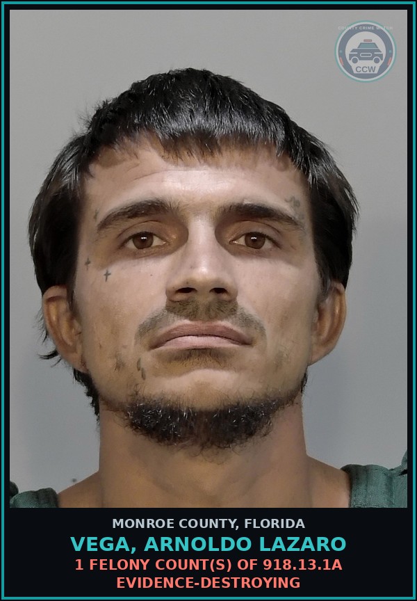 Booking mugshot of VEGA, ARNOLDO LAZARO in Monroe County