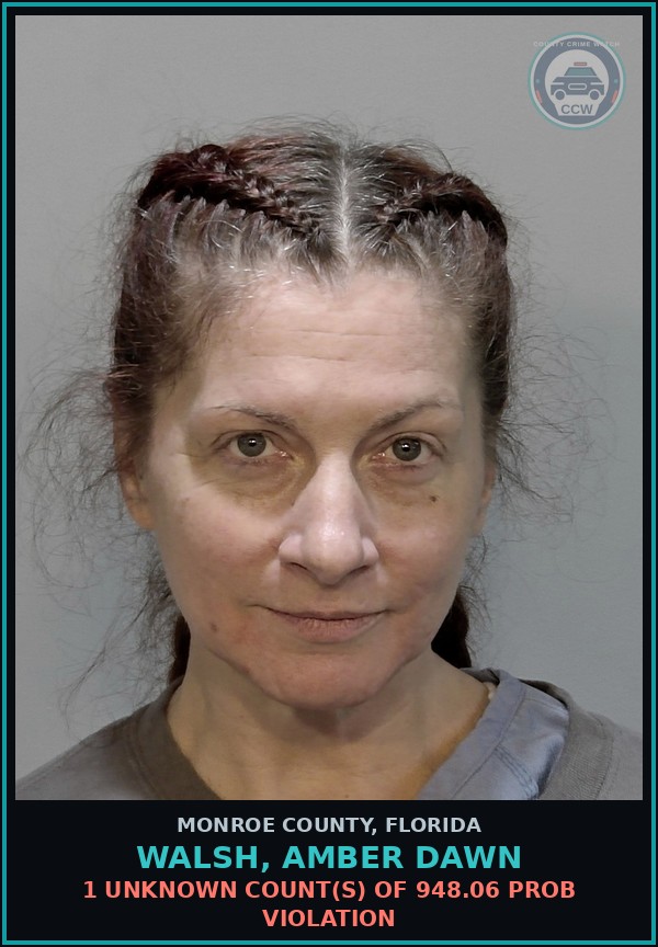 Booking mugshot of WALSH, AMBER DAWN in Monroe County