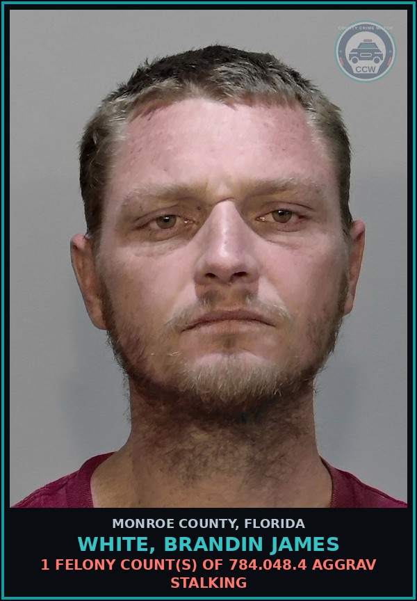 Booking mugshot of WHITE, BRANDIN JAMES in Monroe County