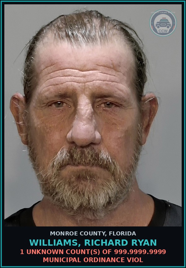 Booking mugshot of WILLIAMS, RICHARD RYAN in Monroe County