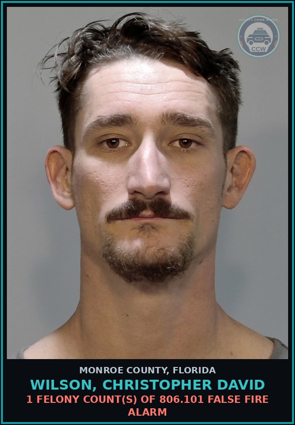 Booking mugshot of WILSON, CHRISTOPHER DAVID in Monroe County