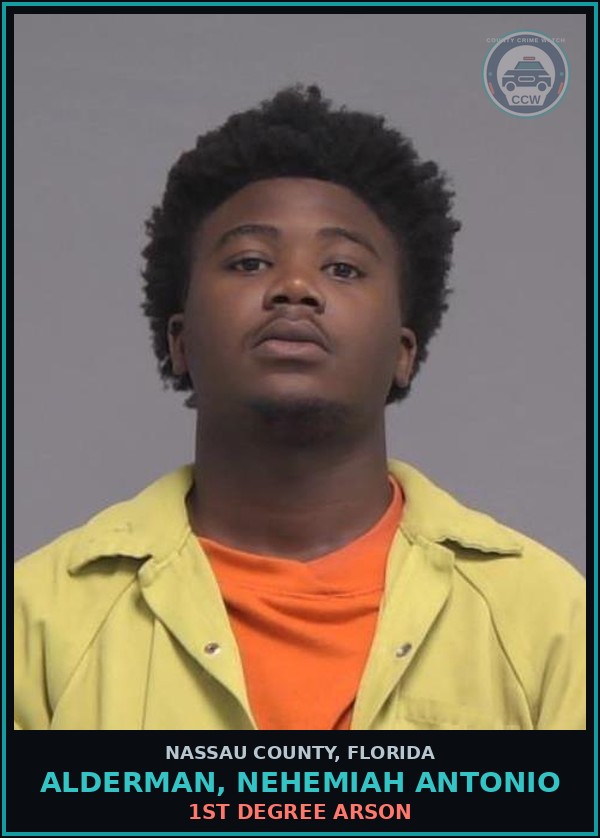 Booking mugshot of ALDERMAN, NEHEMIAH ANTONIO in Nassau County