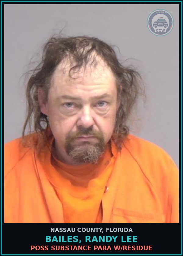Booking mugshot of BAILES, RANDY LEE in Nassau County