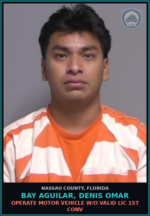 Booking mugshot of BAY AGUILAR, DENIS OMAR in Nassau County