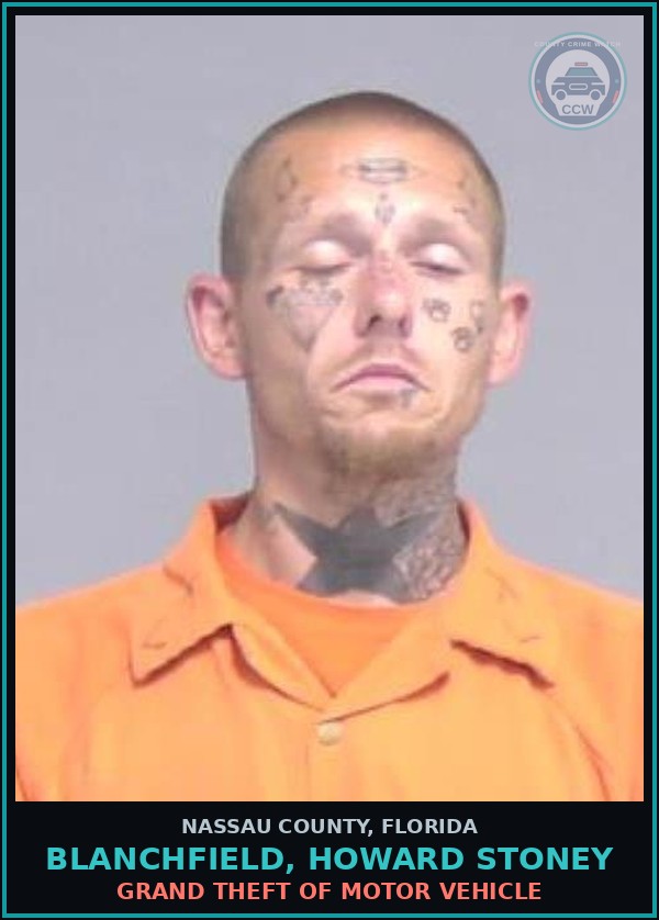 Booking mugshot of BLANCHFIELD, HOWARD STONEY in Nassau County