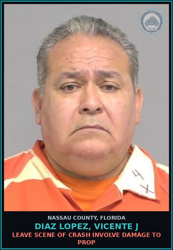 Booking mugshot of DIAZ LOPEZ, VICENTE J in Nassau County