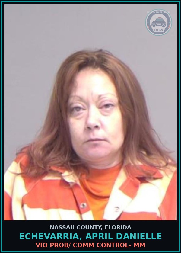 Booking mugshot of ECHEVARRIA, APRIL DANIELLE in Nassau County