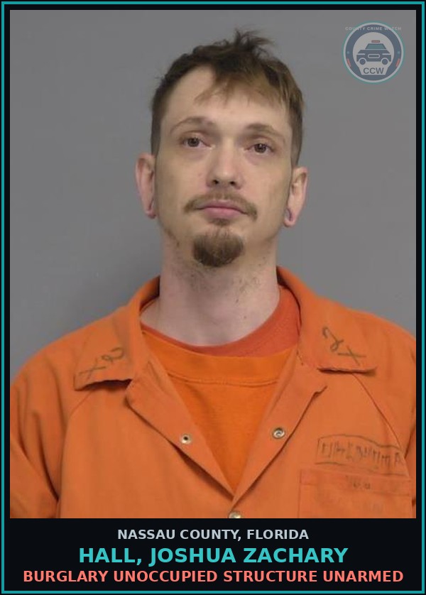 Booking mugshot of HALL, JOSHUA ZACHARY in Nassau County
