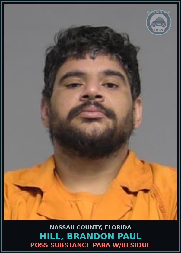 Booking mugshot of HILL, BRANDON PAUL in Nassau County