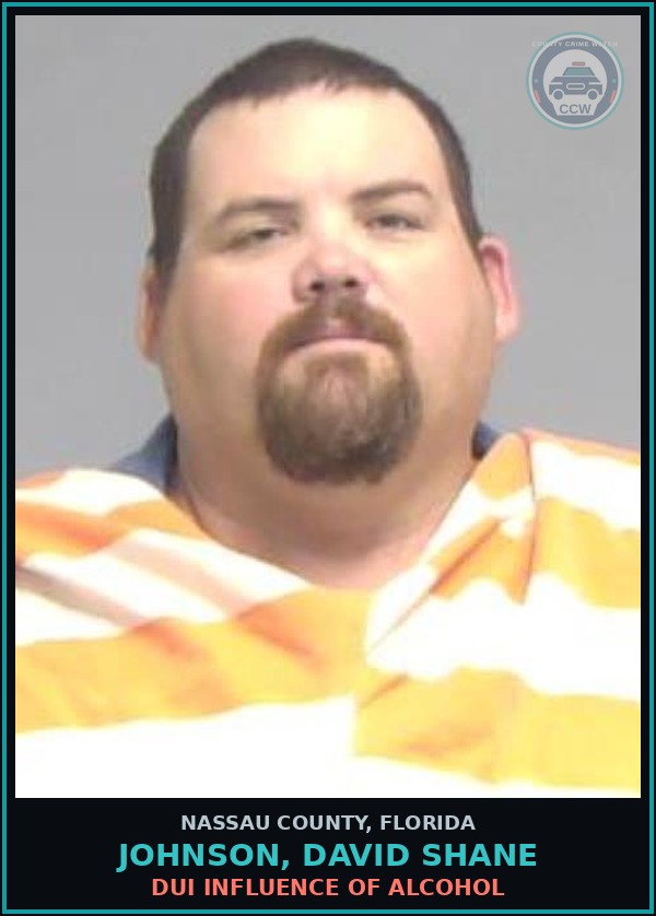 Booking mugshot of JOHNSON, DAVID SHANE in Nassau County