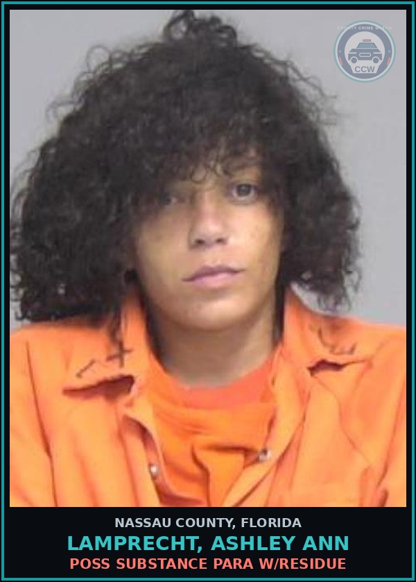 Booking mugshot of LAMPRECHT, ASHLEY ANN in Nassau County