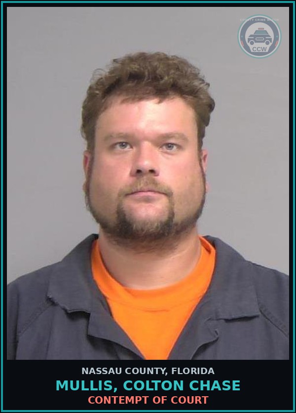 Booking mugshot of MULLIS, COLTON CHASE in Nassau County