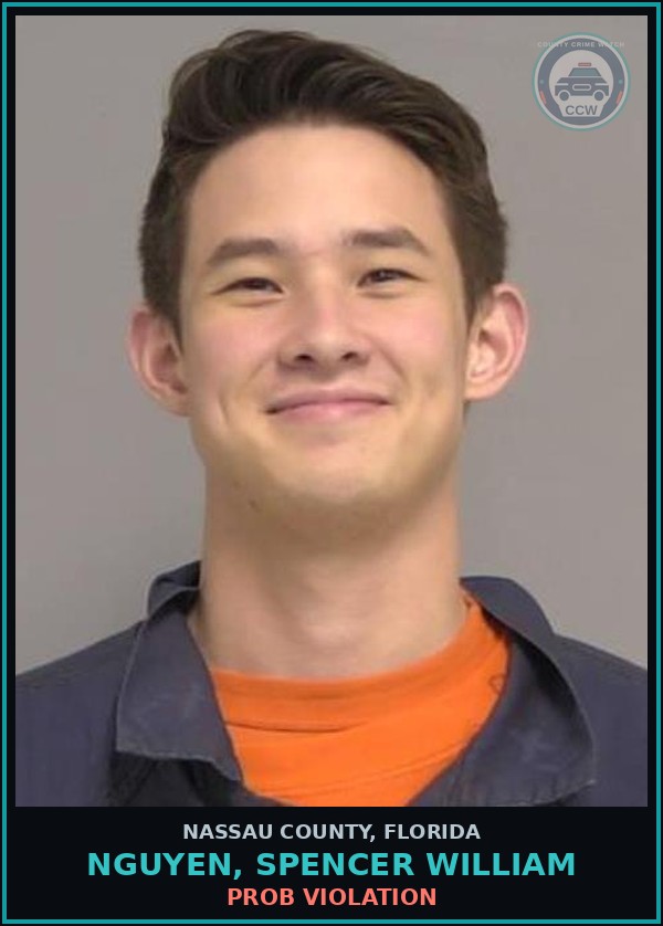 Booking mugshot of NGUYEN, SPENCER WILLIAM in Nassau County
