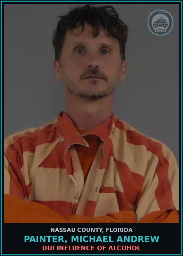 Booking mugshot of PAINTER, MICHAEL ANDREW in Nassau County