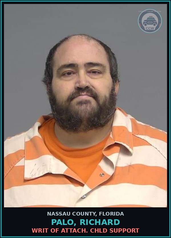 Booking mugshot of PALO, RICHARD in Nassau County
