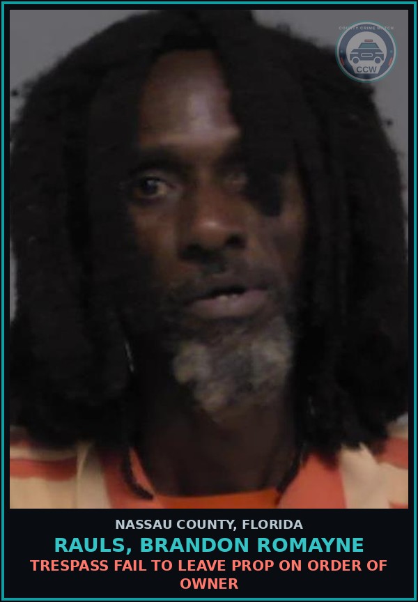 Booking mugshot of RAULS, BRANDON ROMAYNE in Nassau County