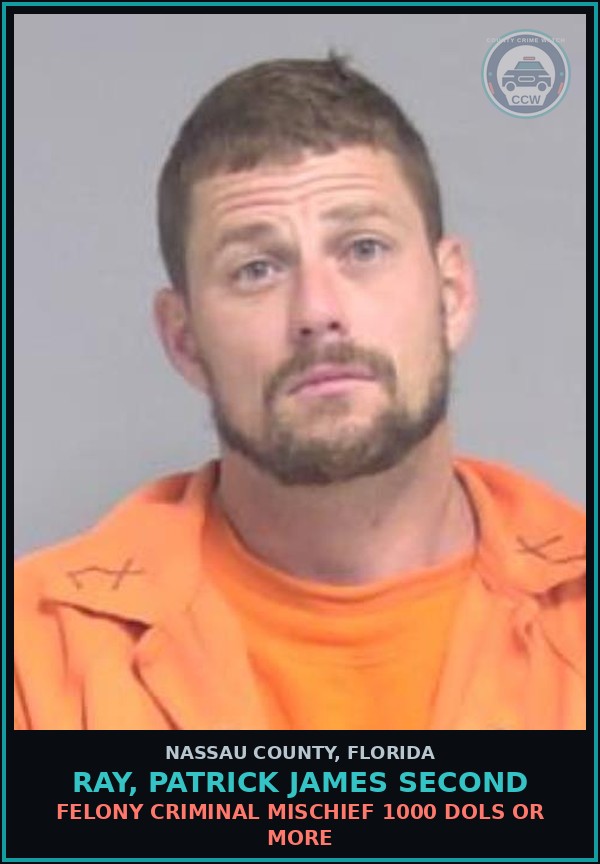 Booking mugshot of RAY, PATRICK JAMES Second in Nassau County