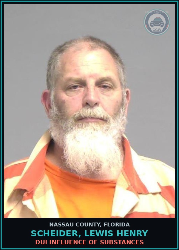Booking mugshot of SCHEIDER, LEWIS HENRY in Nassau County