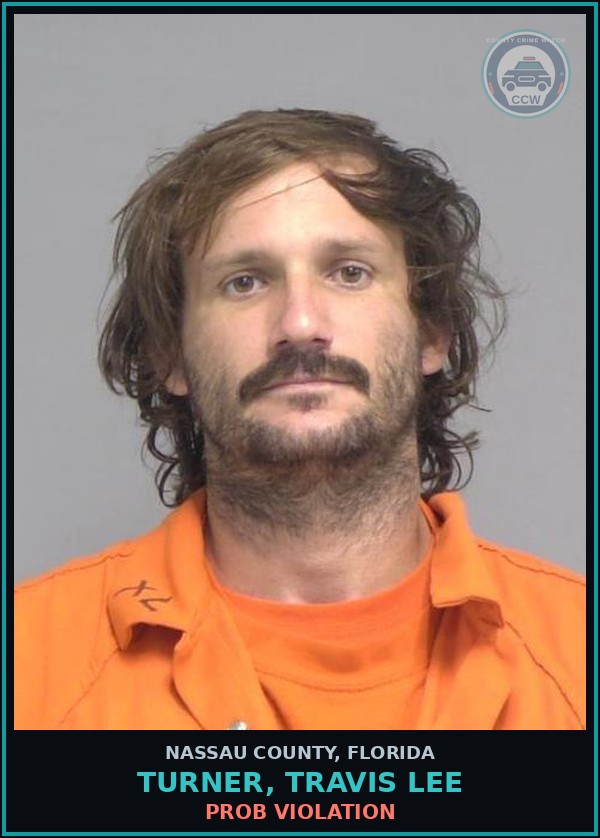 Booking mugshot of TURNER, TRAVIS LEE in Nassau County