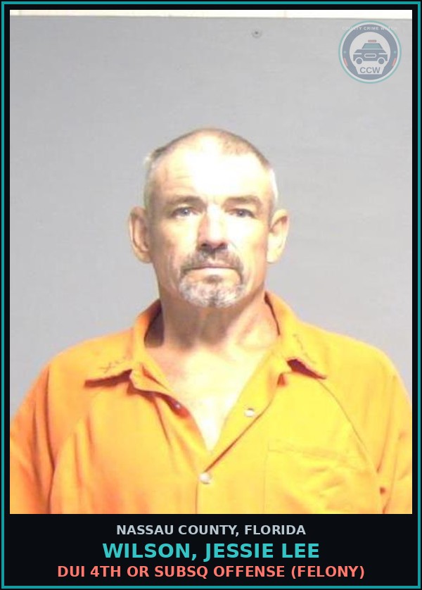 Booking mugshot of WILSON, JESSIE LEE in Nassau County
