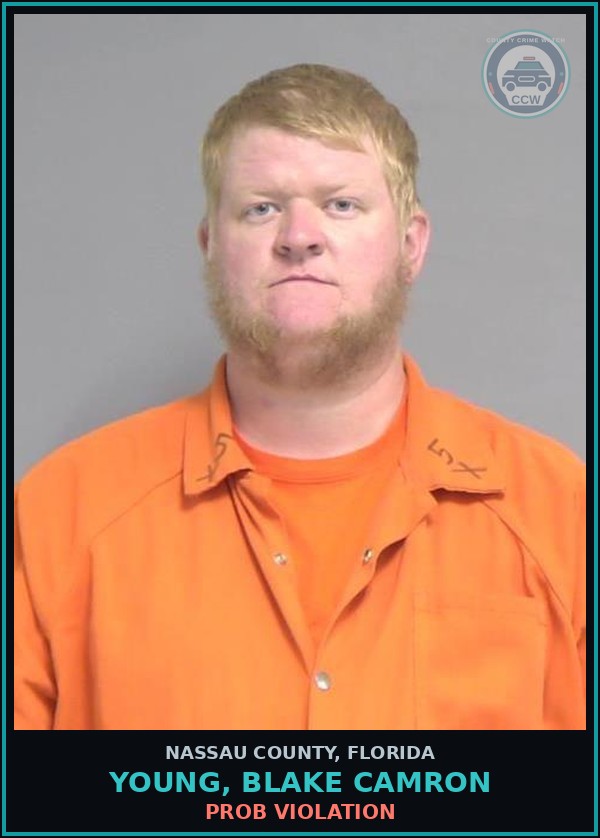 Booking mugshot of YOUNG, BLAKE CAMRON in Nassau County