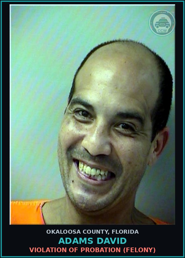 Booking mugshot of Adams David in Okaloosa County