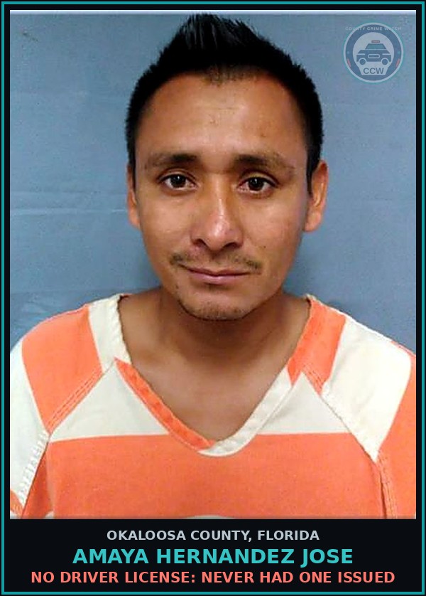 Booking mugshot of Amaya Hernandez Jose in Okaloosa County