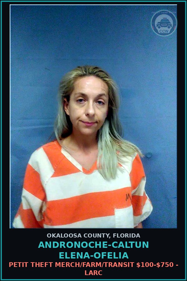 Booking mugshot of Andronoche-Caltun Elena-Ofelia in Okaloosa County