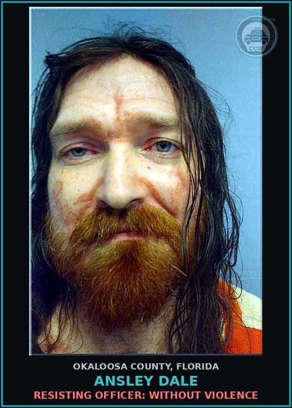 Booking mugshot of Ansley Dale in Okaloosa County