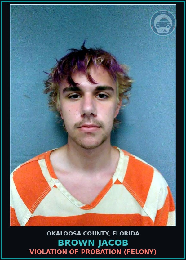 Booking mugshot of Brown Jacob in Okaloosa County