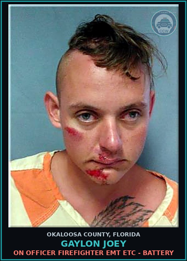 Booking mugshot of Gaylon Joey in Okaloosa County