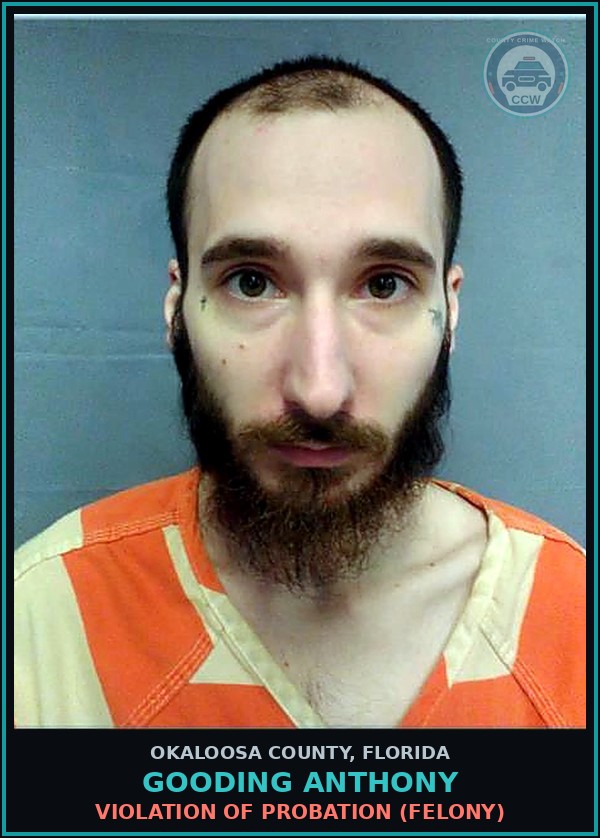Booking mugshot of Gooding Anthony in Okaloosa County