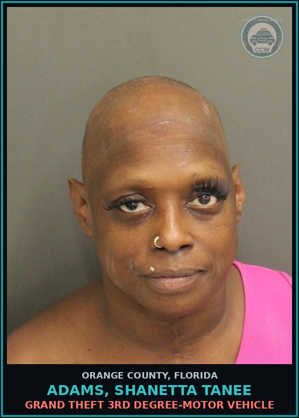 Booking mugshot of ADAMS, SHANETTA TANEE in Orange County