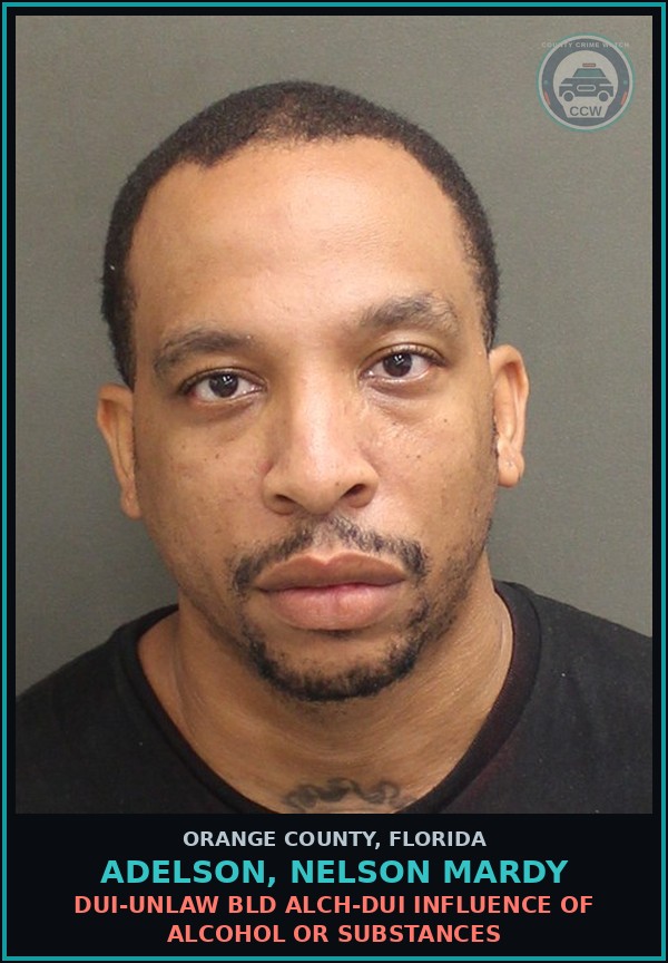 Booking mugshot of ADELSON, NELSON MARDY in Orange County