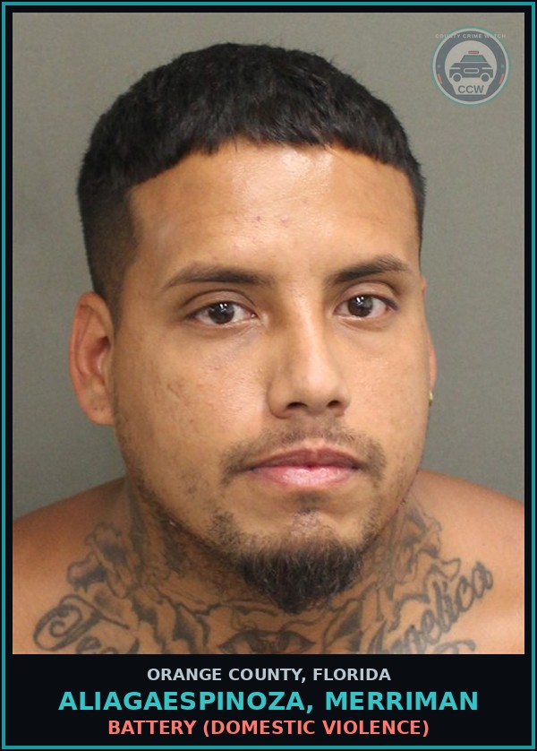 Booking mugshot of ALIAGAESPINOZA, MERRIMAN in Orange County
