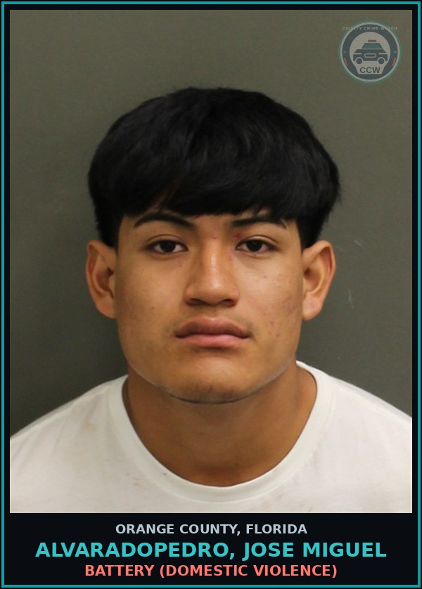 Booking mugshot of ALVARADOPEDRO, JOSE MIGUEL in Orange County