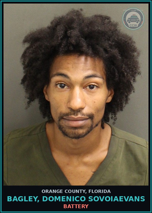 Booking mugshot of BAGLEY, DOMENICO SOVOIAEVANS in Orange County