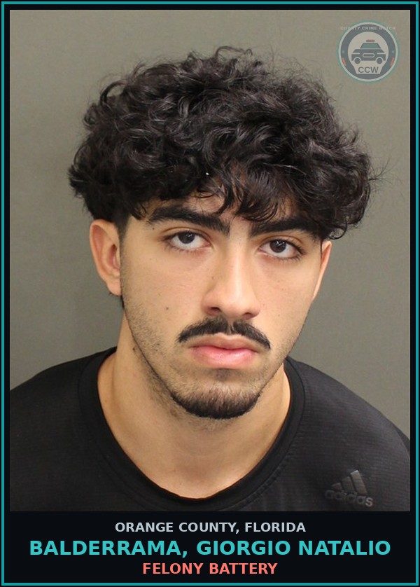 Booking mugshot of BALDERRAMA, GIORGIO NATALIO in Orange County
