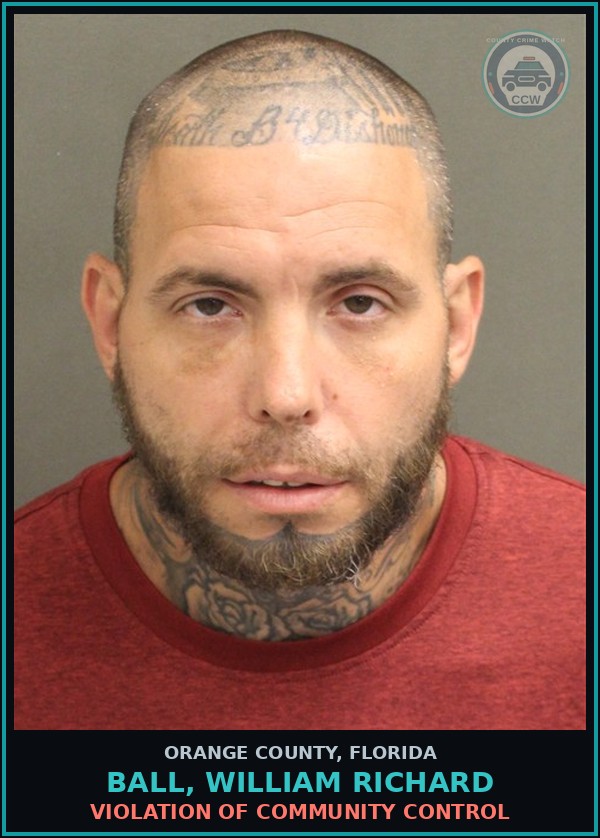 Booking mugshot of BALL, WILLIAM RICHARD in Orange County