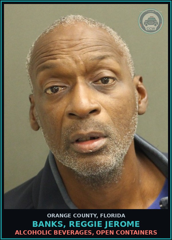 Booking mugshot of BANKS, REGGIE JEROME in Orange County