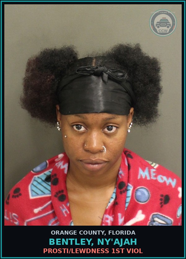 Booking mugshot of BENTLEY, NY'AJAH in Orange County