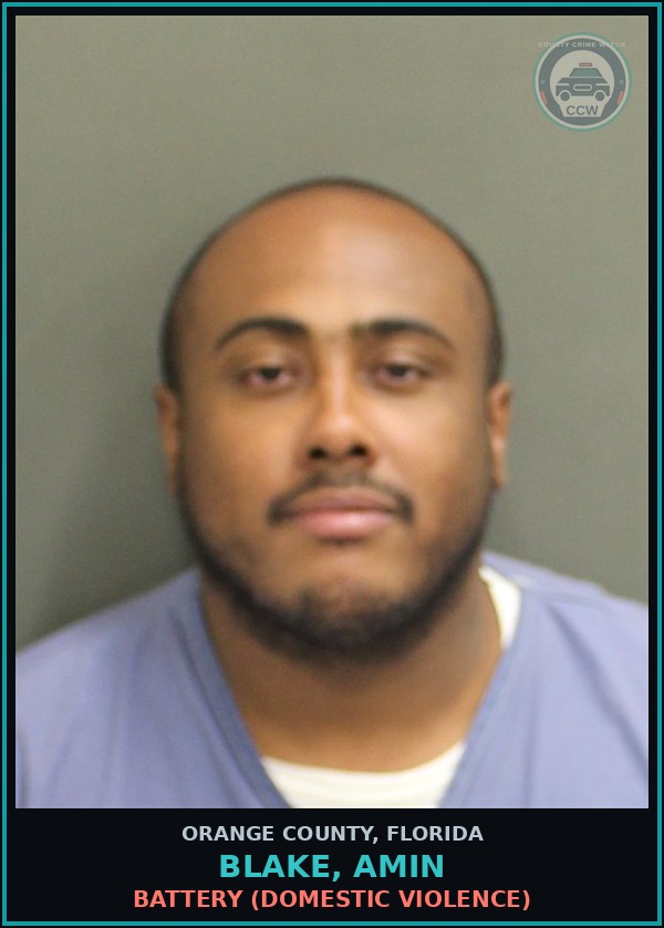 Booking mugshot of BLAKE, AMIN in Orange County