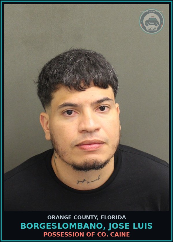 Booking mugshot of BORGESLOMBANO, JOSE LUIS in Orange County