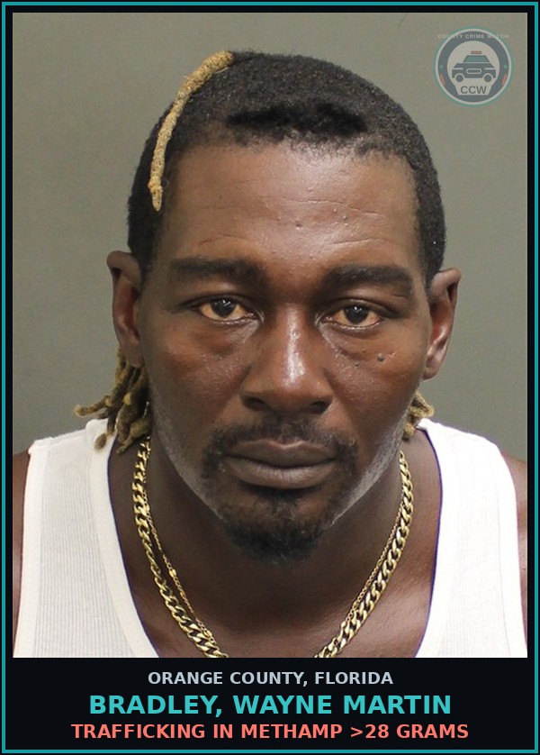 Booking mugshot of BRADLEY, WAYNE MARTIN in Orange County