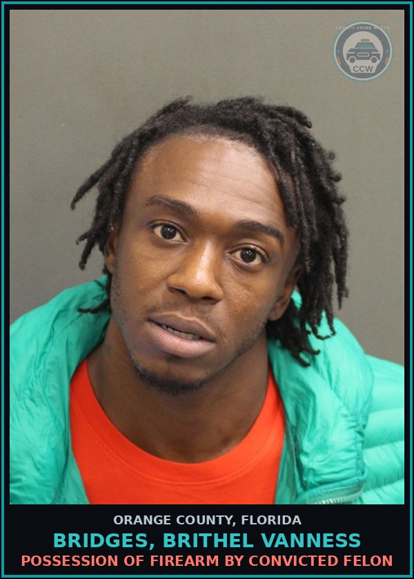 Booking mugshot of BRIDGES, BRITHEL VANNESS in Orange County