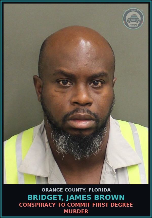 Booking mugshot of BRIDGET, JAMES BROWN in Orange County