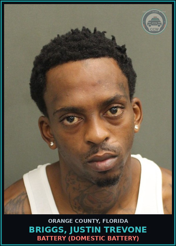 Booking mugshot of BRIGGS, JUSTIN TREVONE in Orange County