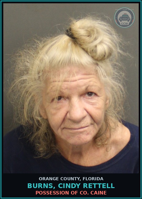 Booking mugshot of BURNS, CINDY RETTELL in Orange County