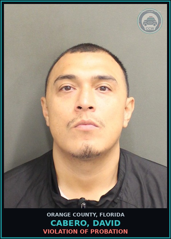 Booking mugshot of CABERO, DAVID in Orange County